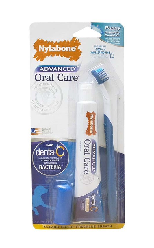 Nylabone Advanced Oral Care Puppy Dental Kit Original 1ea