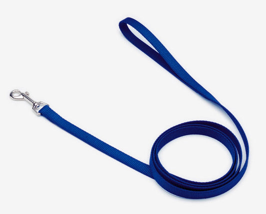 Coastal Single-Ply Nylon Dog Leash Blue 1ea/5/8 In X 4 ft