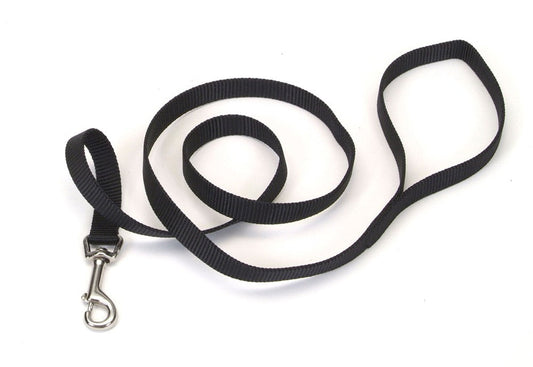 Coastal Single-Ply Nylon Dog Leash Black 1ea/3/4 In X 4 ft