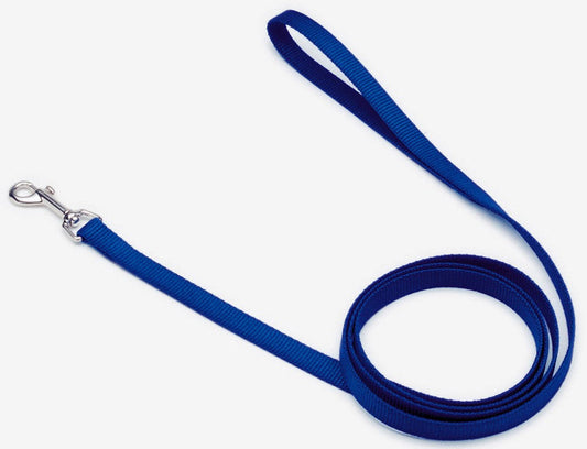 Coastal Single-Ply Nylon Dog Leash Blue 1ea/3/4 In X 6 ft