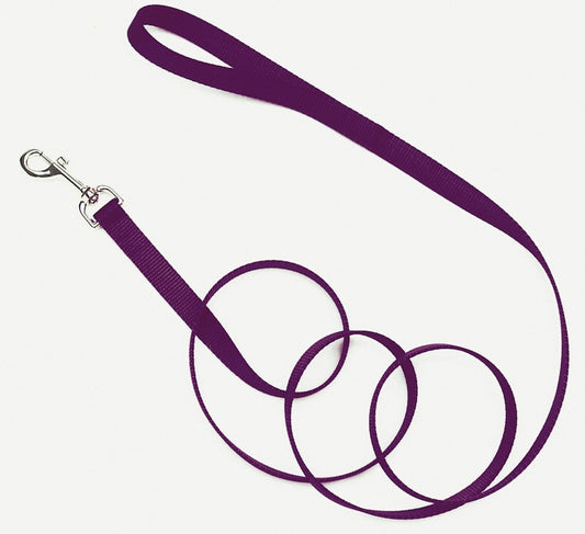 Coastal Single-Ply Nylon Dog Leash Purple 1ea/3/4 In X 6 ft