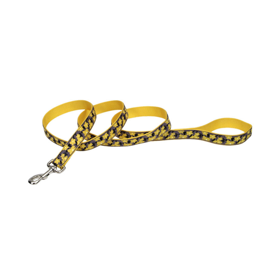 Ribbon Nylon Dog Leash Yellow 1ea/1 In X 6 ft