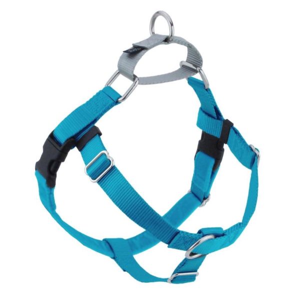Freedom No-Pull Harness / Turquoise