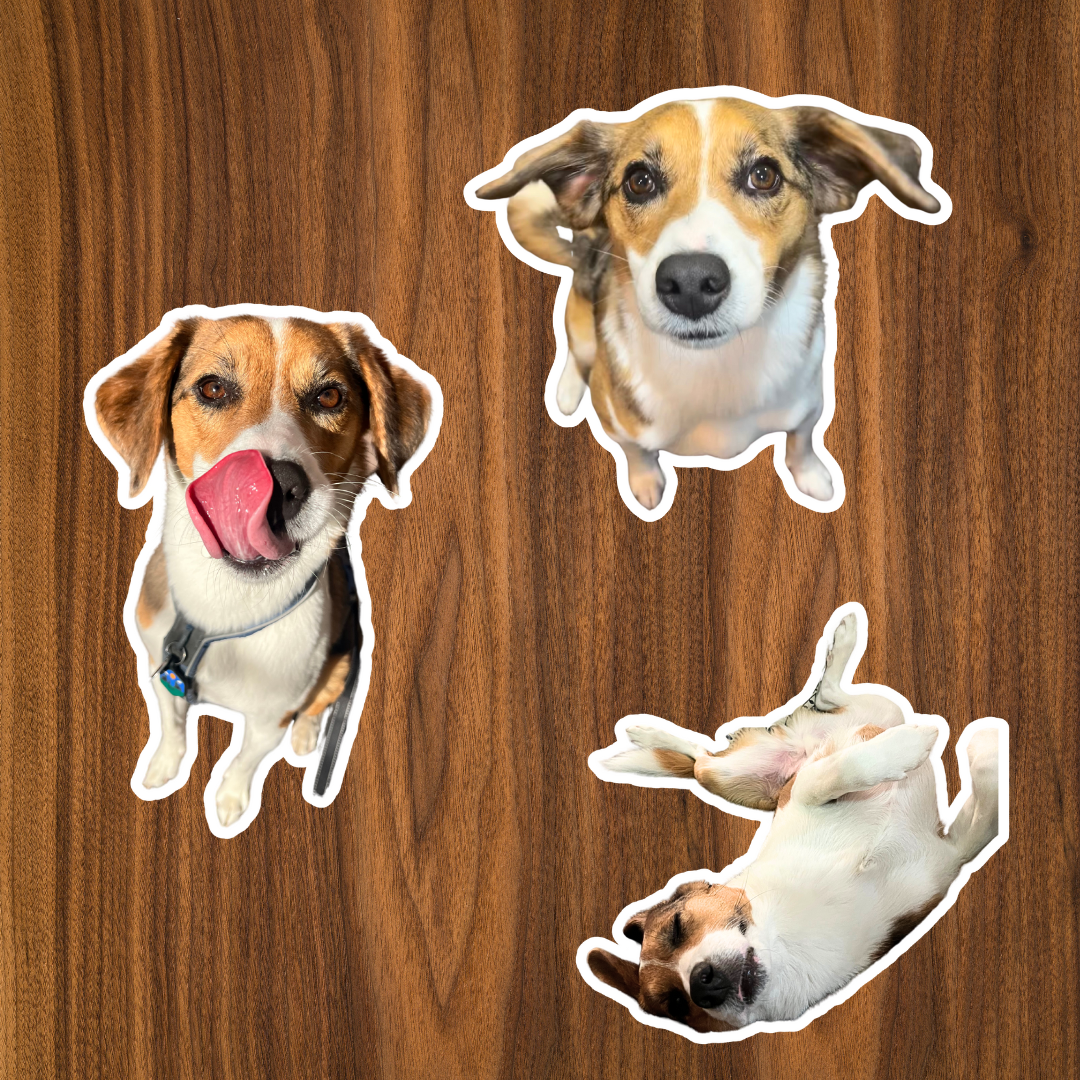 Custom Dog Stickers (3pc)