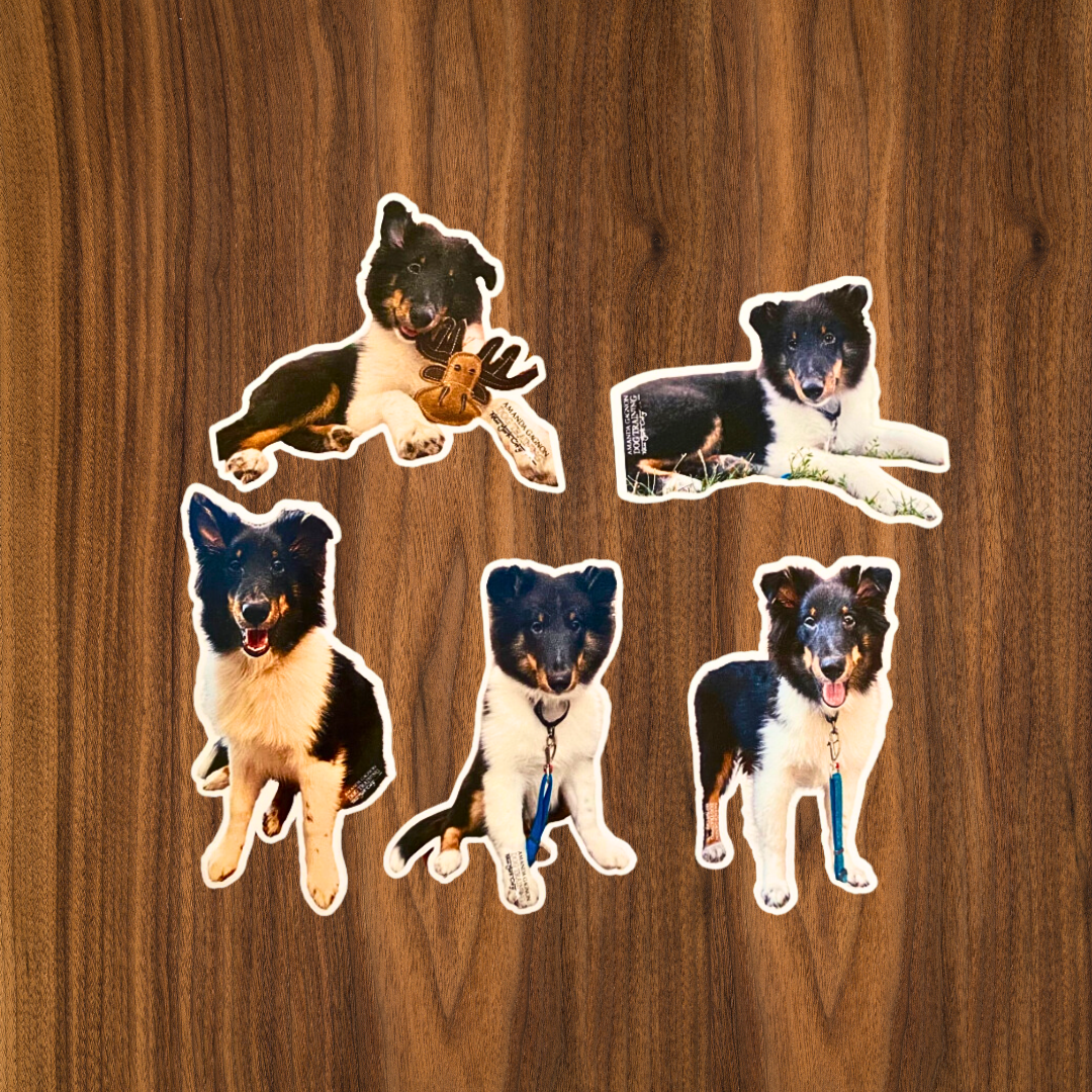 Custom Dog Stickers (5pc)