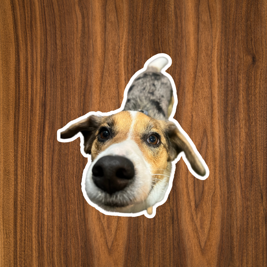 Custom Dog Sticker (1pc)